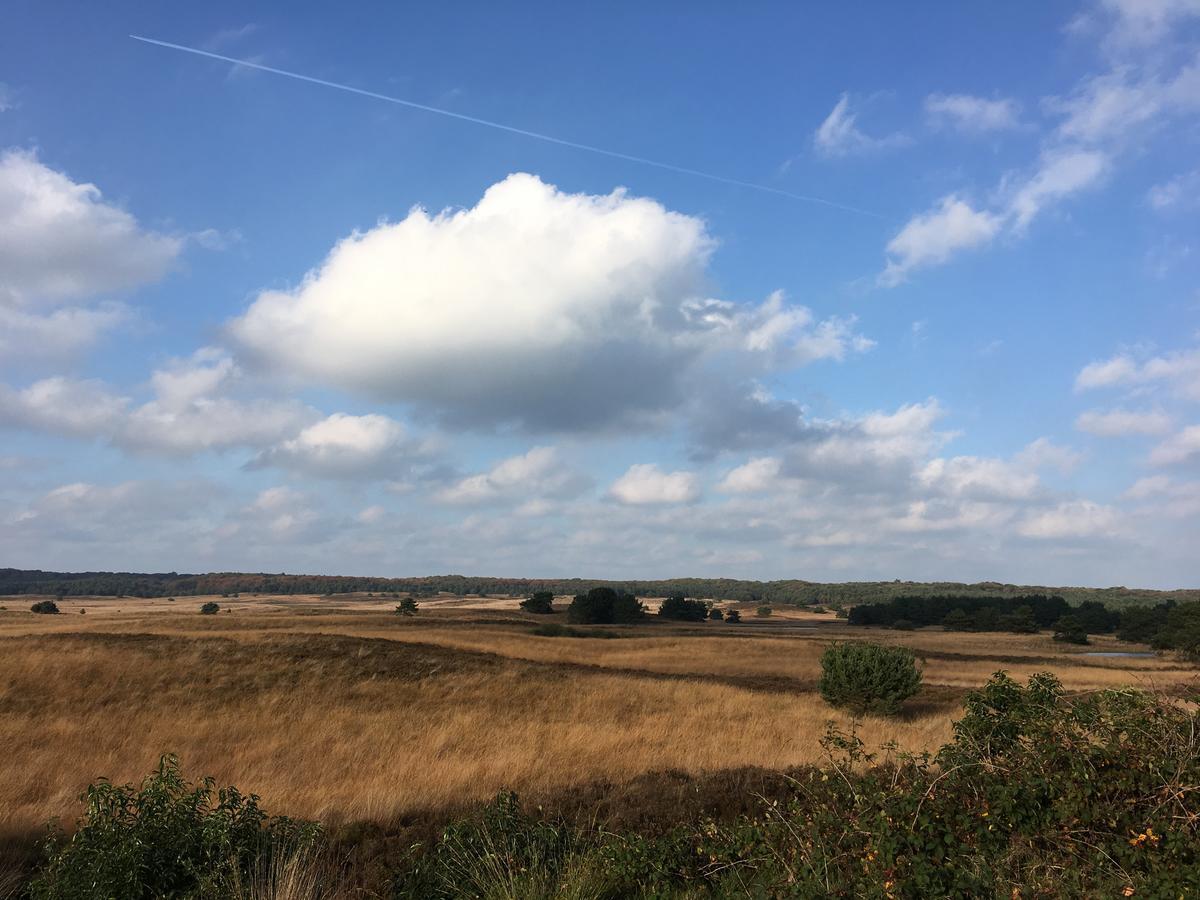 De Slaapfabriek Vakantiehuis En Trainingslocatie 투이그 외부 사진